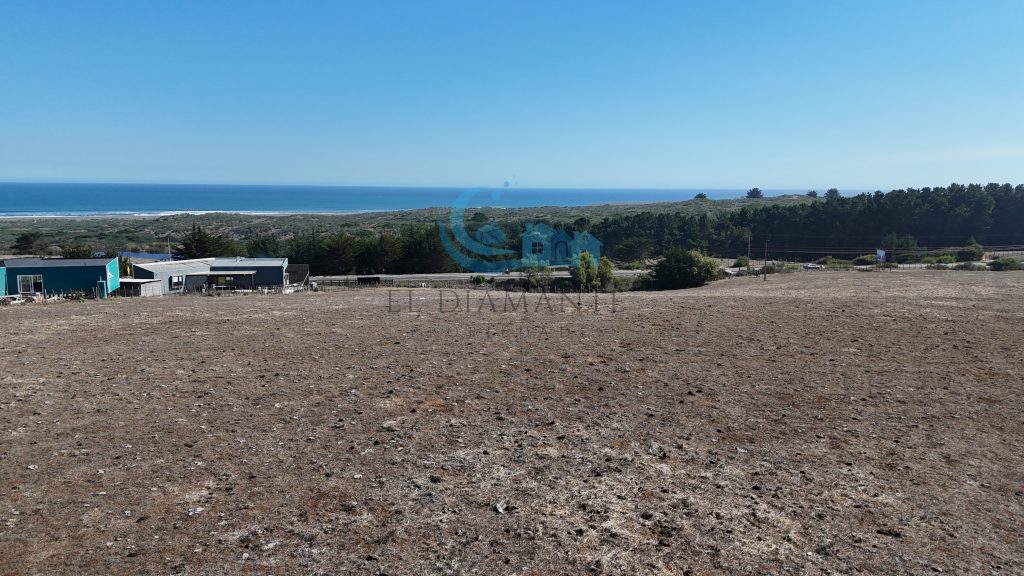 Inversión 4,6 Ha: 700m De Punta De Lobos | Vista Al Mar