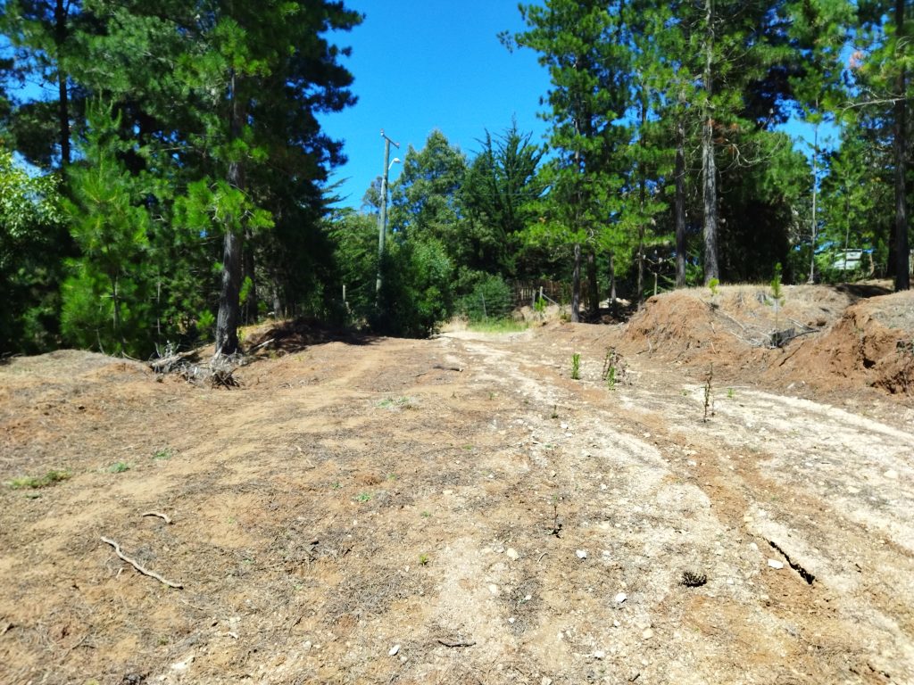 Se Vende Terreno De 10.000 M2 En Pichilemu, Las Comillas