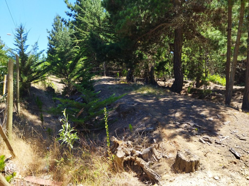 Foto 3