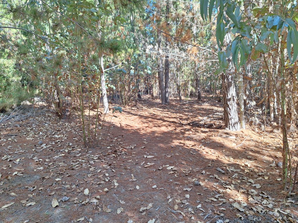 Foto 9