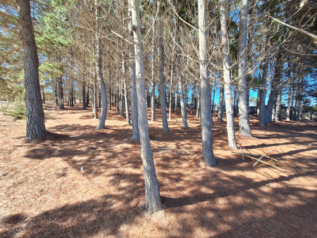 Foto 17