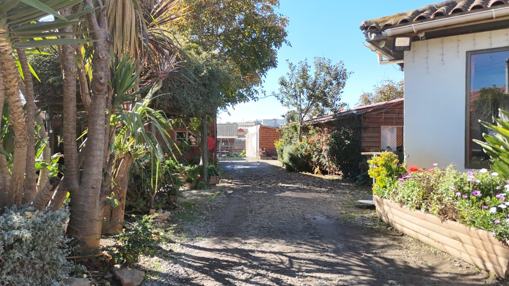 Foto 6