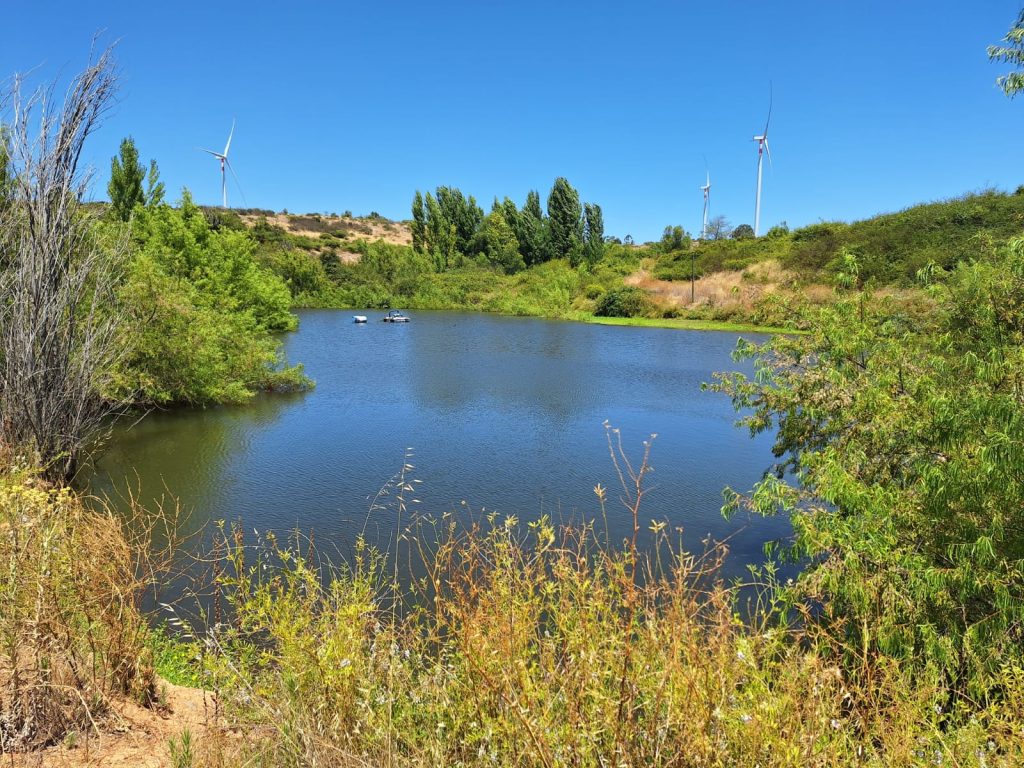 Gran Campo 57,5 Ha Agrícola En Litueche – Vi Región