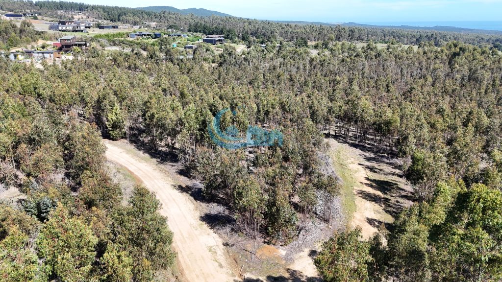 Rreno 5.043 M2 El Pangal, Pichilemu, Rol, Agua Y Luz
